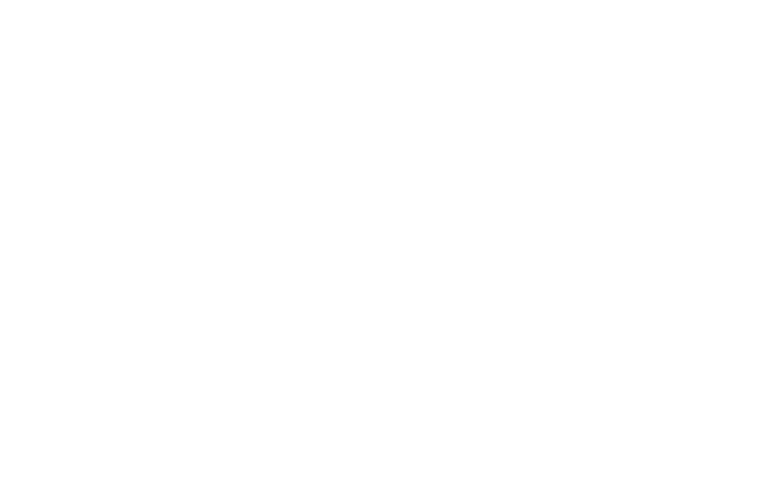 logo pagoPA